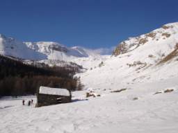 081124_A_siamo in 43.JPG